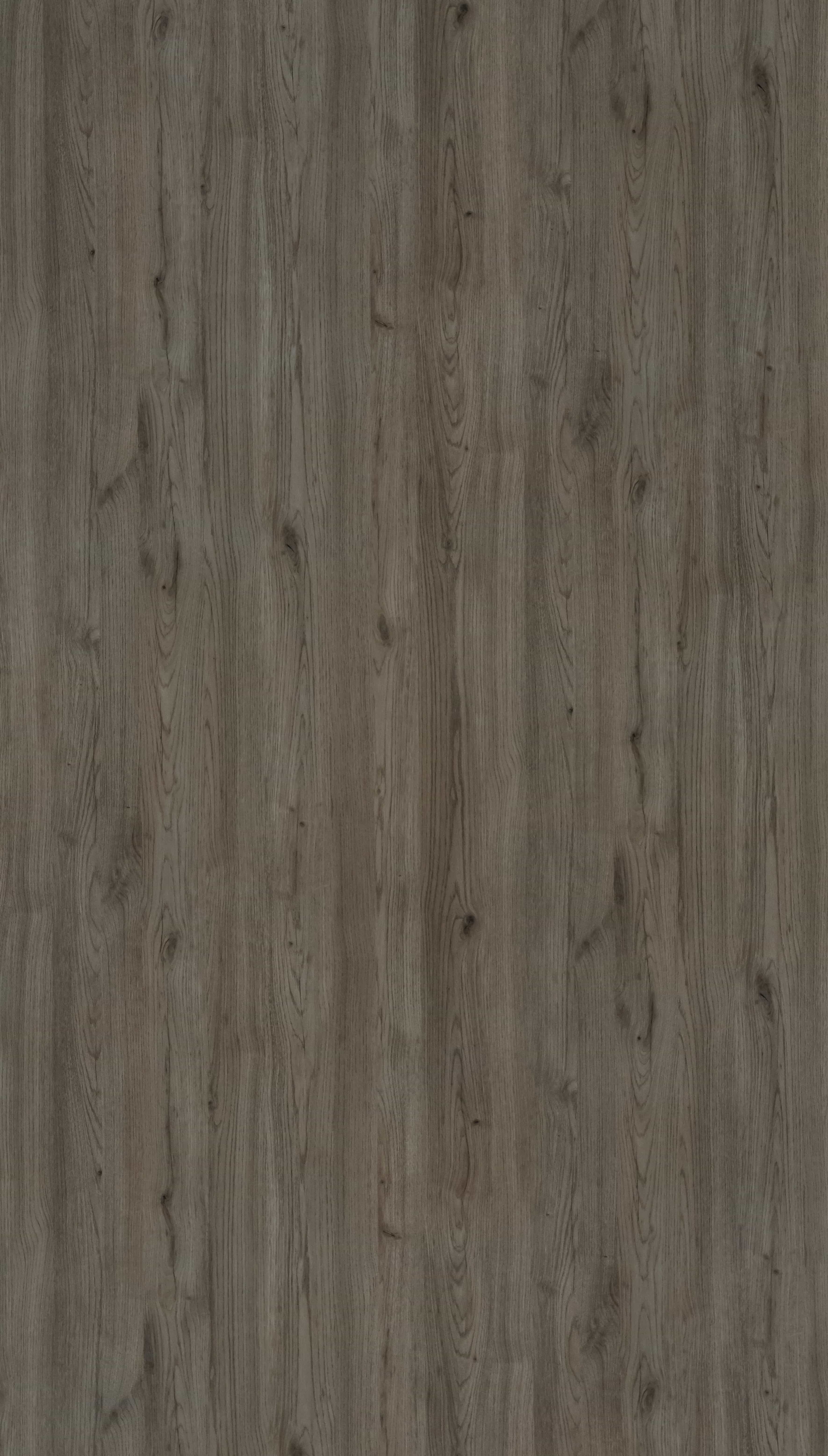 2904